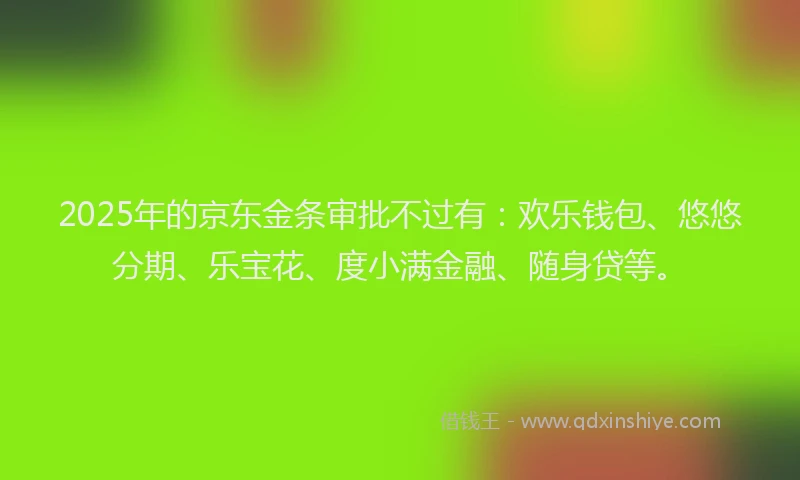 2025年的京东金条审批不过有：欢乐钱包、悠悠分期、乐宝花、度小满金融、随身贷等。