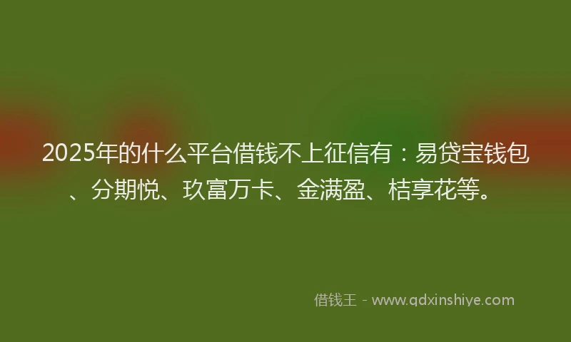 2025年的什么平台借钱不上征信有：易贷宝钱包、分期悦、玖富万卡、金满盈、桔享花等。