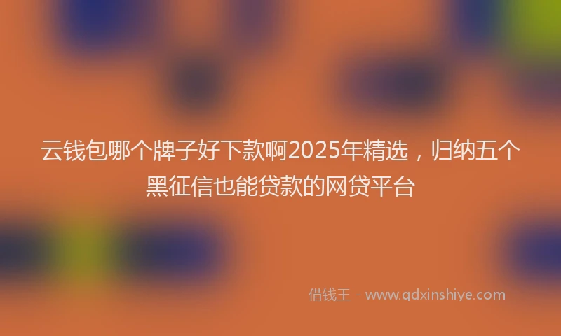 云钱包哪个牌子好下款啊2025年精选，归纳五个黑征信也能贷款的网贷平台