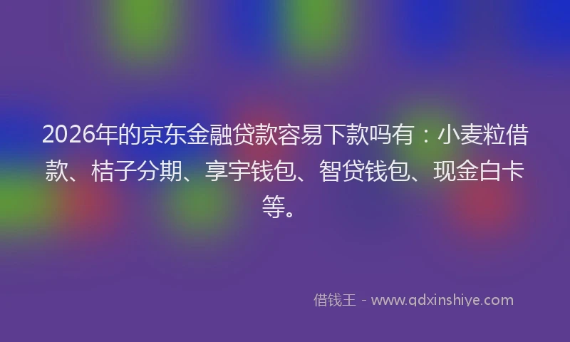 2026年的京东金融贷款容易下款吗有：小麦粒借款、桔子分期、享宇钱包、智贷钱包、现金白卡等。