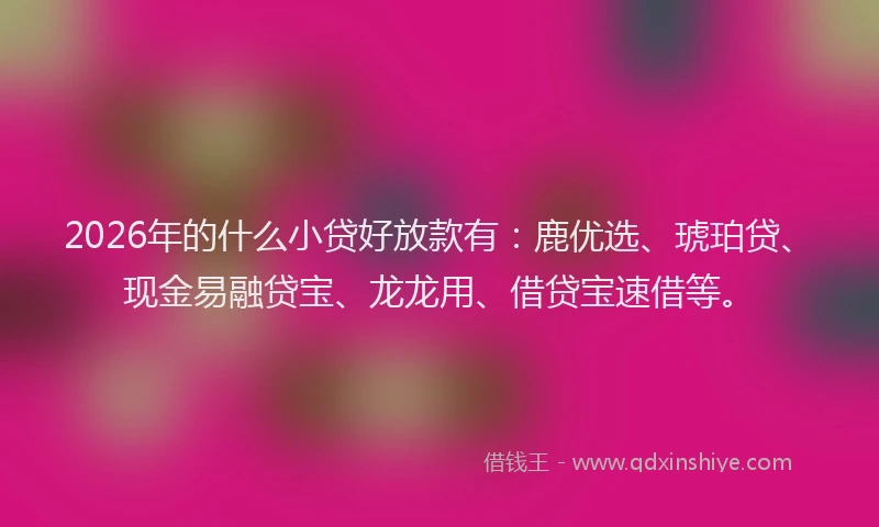2026年的什么小贷好放款有：鹿优选、琥珀贷、现金易融贷宝、龙龙用、借贷宝速借等。