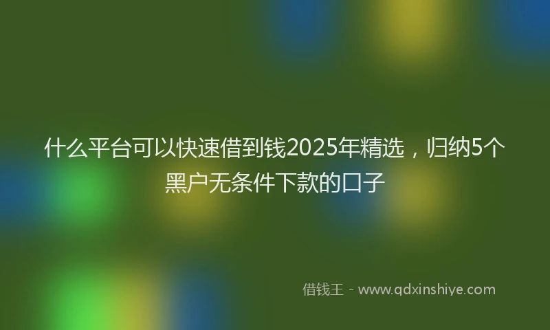 什么平台可以快速借到钱2025年精选，归纳5个黑户无条件下款的口子