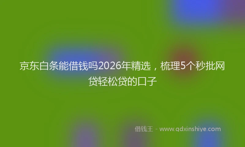 京东白条能借钱吗2026年精选，梳理5个秒批网贷轻松贷的口子