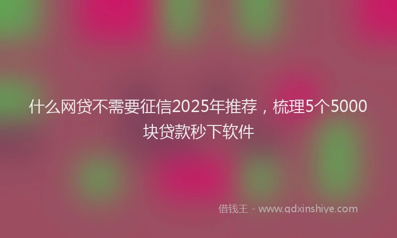 什么网贷不需要征信2025年推荐，梳理5个5000块贷款秒下软件