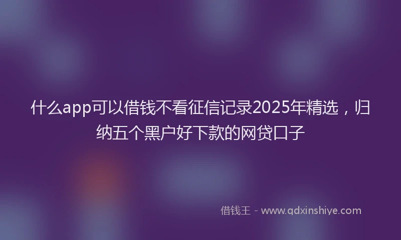 什么app可以借钱不看征信记录2025年精选，归纳五个黑户好下款的网贷口子