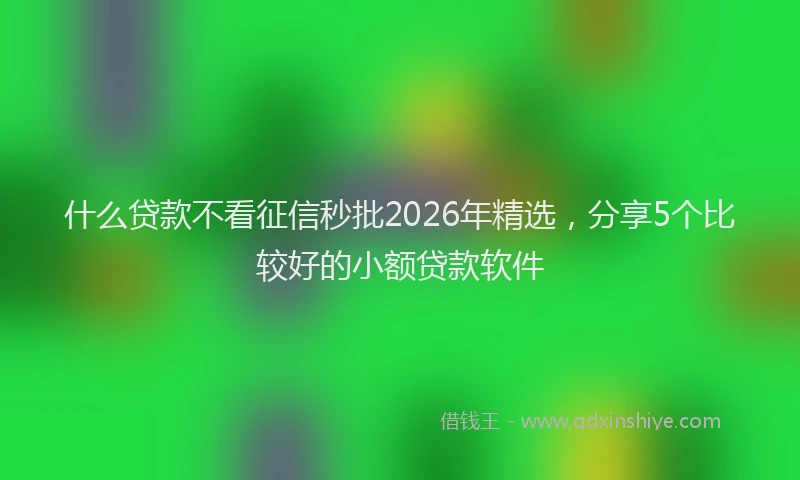 什么贷款不看征信秒批2026年精选，分享5个比较好的小额贷款软件