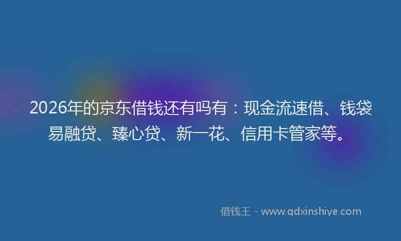 2026年的京东借钱还有吗有：现金流速借、钱袋易融贷、臻心贷、新一花、信用卡管家等。