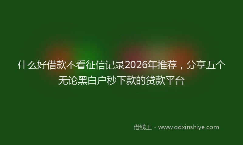 什么好借款不看征信记录2026年推荐，分享五个无论黑白户秒下款的贷款平台