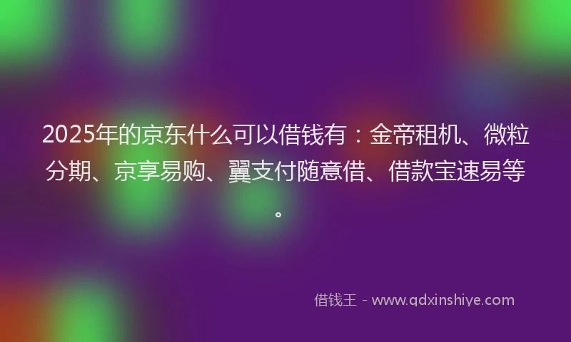 2025年的京东什么可以借钱有：金帝租机、微粒分期、京享易购、翼支付随意借、借款宝速易等。