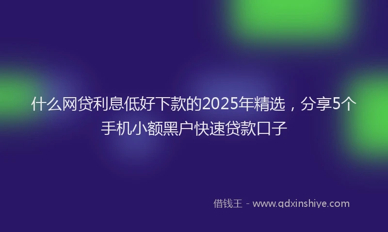 什么网贷利息低好下款的2025年精选，分享5个手机小额黑户快速贷款口子