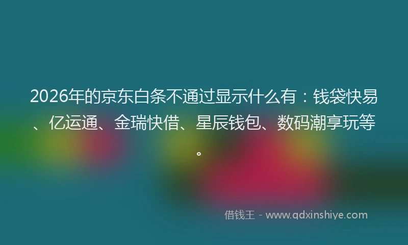 2026年的京东白条不通过显示什么有:钱袋快易、亿运通、金瑞快借、星辰钱包、数码潮享玩等。