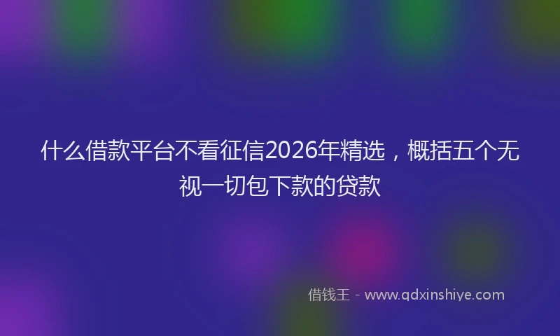 什么借款平台不看征信2026年精选，概括五个无视一切包下款的贷款