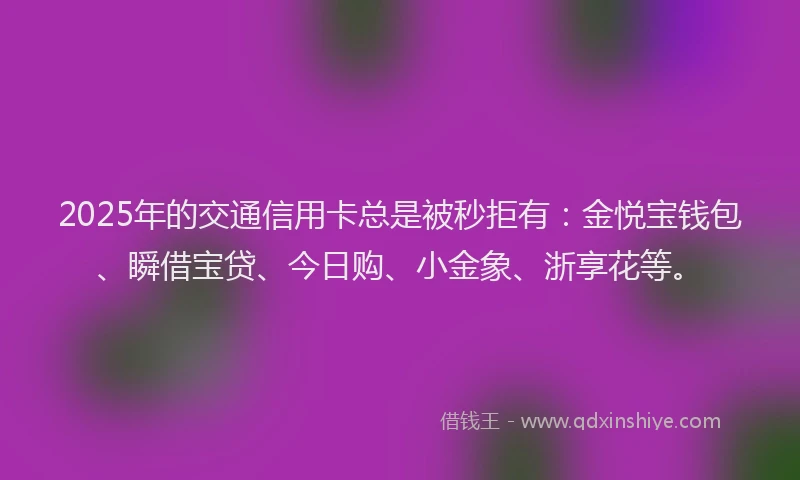 2025年的交通信用卡总是被秒拒有:金悦宝钱包、瞬借宝贷、今日购、小金象、浙享花等。