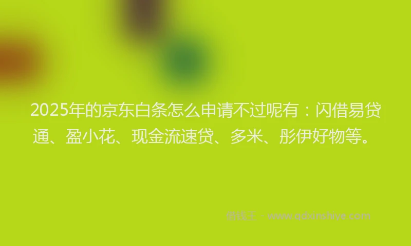 2025年的京东白条怎么申请不过呢有：闪借易贷通、盈小花、现金流速贷、多米、彤伊好物等。