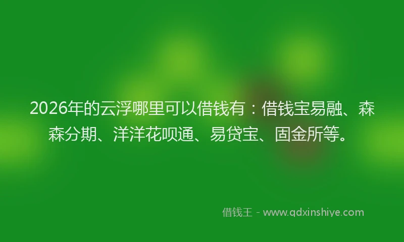 2026年的云浮哪里可以借钱有：借钱宝易融、森森分期、洋洋花呗通、易贷宝、固金所等。