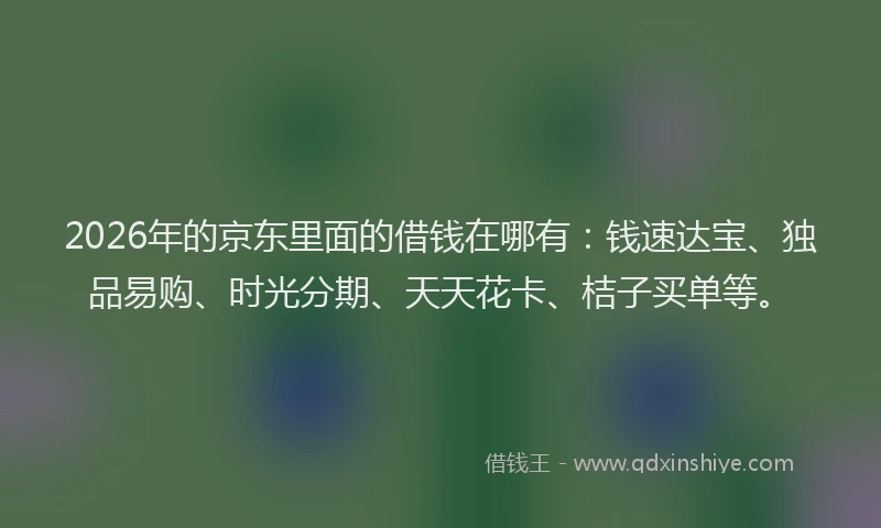 2026年的京东里面的借钱在哪有：钱速达宝、独品易购、时光分期、天天花卡、桔子买单等。