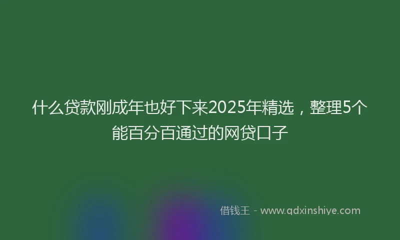 什么贷款刚成年也好下来2025年精选,整理5个能百分百通过的网贷口子