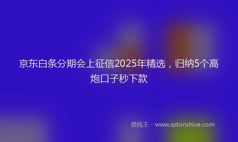 京东白条分期会上征信2025年精选，归纳5个高炮口子秒下款
