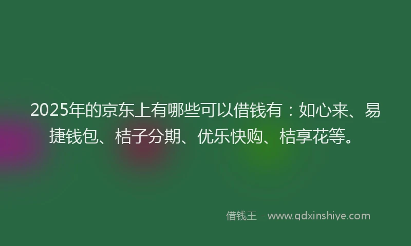 2025年的京东上有哪些可以借钱有：如心来、易捷钱包、桔子分期、优乐快购、桔享花等。