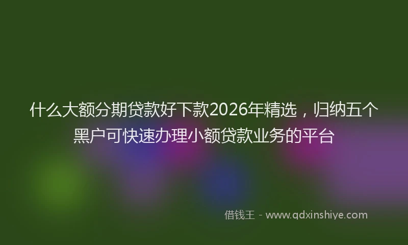 什么大额分期贷款好下款2026年精选，归纳五个黑户可快速办理小额贷款业务的平台