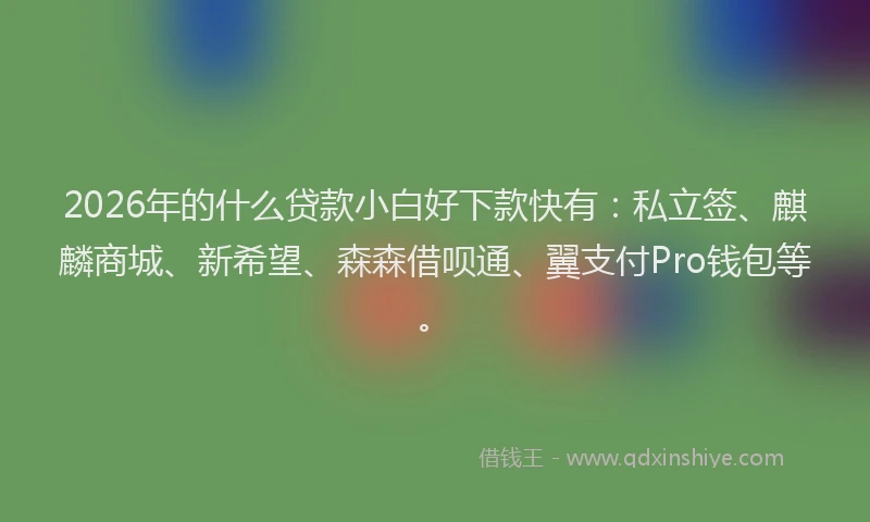 2026年的什么贷款小白好下款快有:私立签、麒麟商城、新希望、森森借呗通、翼支付Pro钱包等。