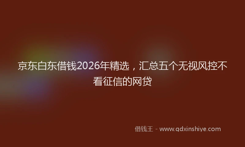 京东白东借钱2026年精选，汇总五个无视风控不看征信的网贷