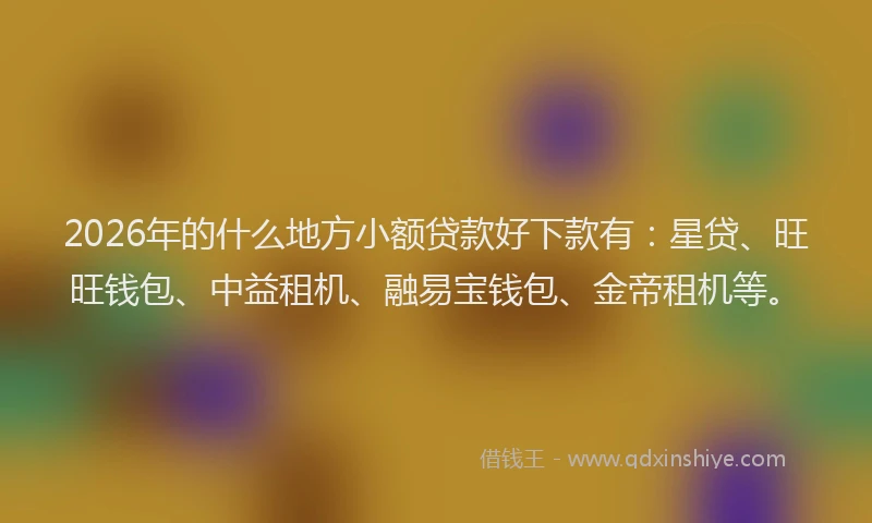 2026年的什么地方小额贷款好下款有：星贷、旺旺钱包、中益租机、融易宝钱包、金帝租机等。