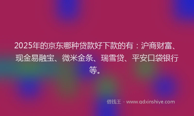 2025年的京东哪种贷款好下款的有：沪商财富、现金易融宝、微米金条、瑞雪贷、平安口袋银行等。