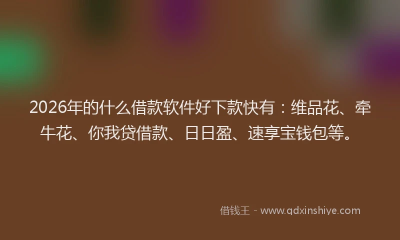 2026年的什么借款软件好下款快有：维品花、牵牛花、你我贷借款、日日盈、速享宝钱包等。