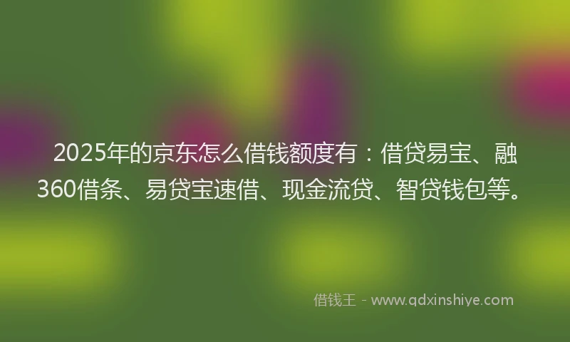 2025年的京东怎么借钱额度有：借贷易宝、融360借条、易贷宝速借、现金流贷、智贷钱包等。