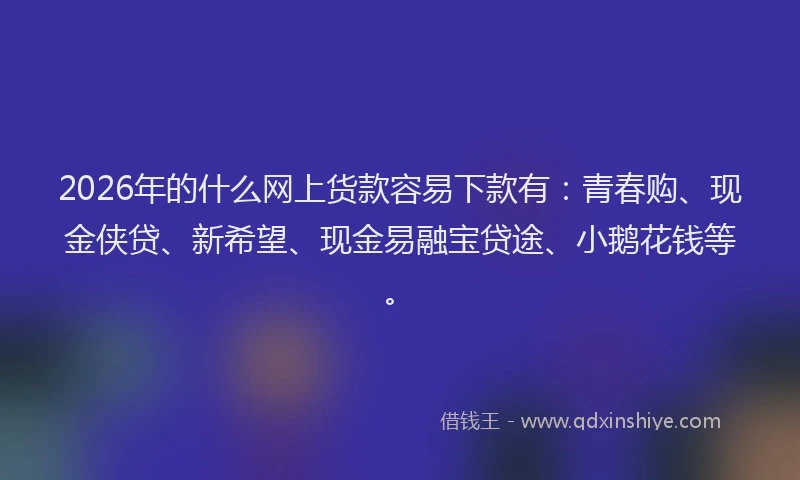 2026年的什么网上货款容易下款有：青春购、现金侠贷、新希望、现金易融宝贷途、小鹅花钱等。