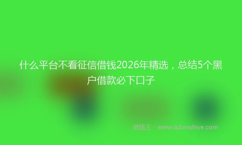 什么平台不看征信借钱2026年精选，总结5个黑户借款必下口子