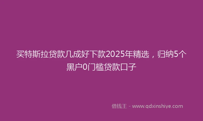 买特斯拉贷款几成好下款2025年精选，归纳5个黑户0门槛贷款口子