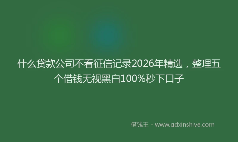 什么贷款公司不看征信记录2026年精选,整理五个借钱无视黑白100%秒下口子