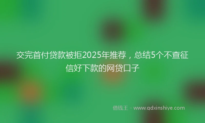 交完首付贷款被拒2025年推荐,总结5个不查征信好下款的网贷口子
