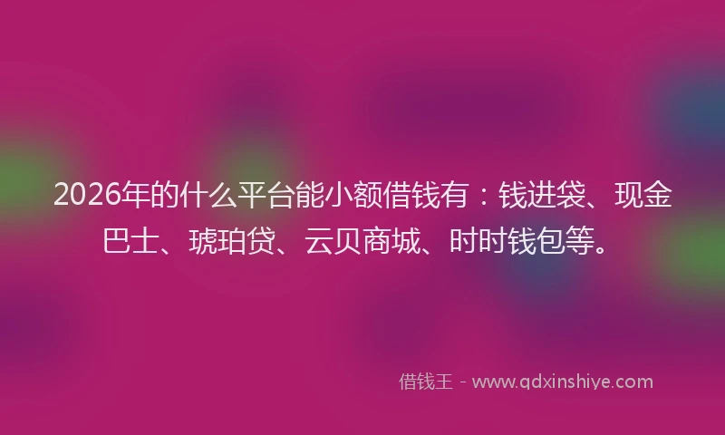 2026年的什么平台能小额借钱有：钱进袋、现金巴士、琥珀贷、云贝商城、时时钱包等。