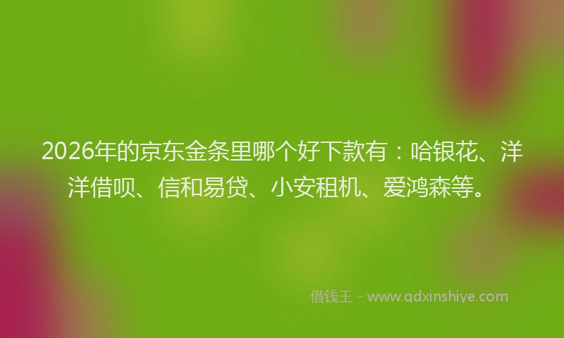 2026年的京东金条里哪个好下款有：哈银花、洋洋借呗、信和易贷、小安租机、爱鸿森等。