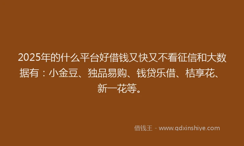 2025年的什么平台好借钱又快又不看征信和大数据有:小金豆、独品易购、钱贷乐借、桔享花、新一花等。