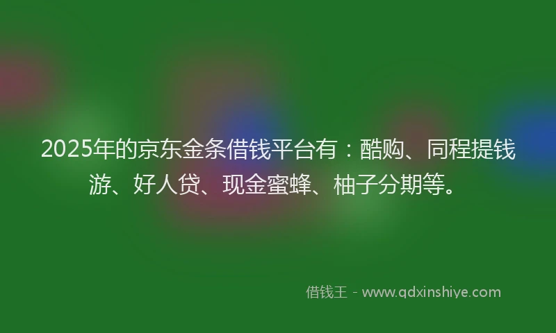 2025年的京东金条借钱平台有：酷购、同程提钱游、好人贷、现金蜜蜂、柚子分期等。