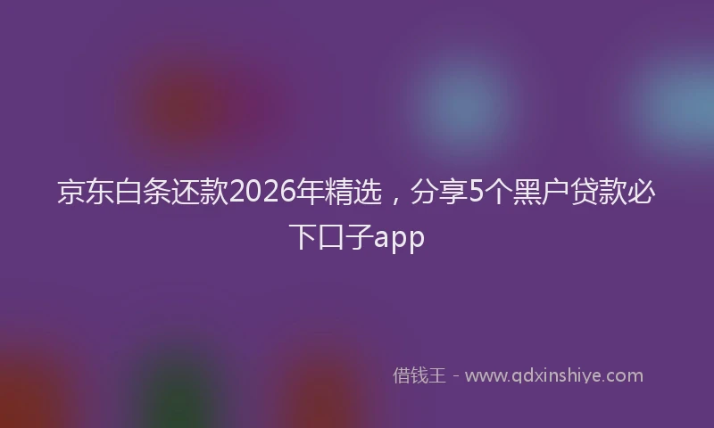 京东白条还款2026年精选,分享5个黑户贷款必下口子app