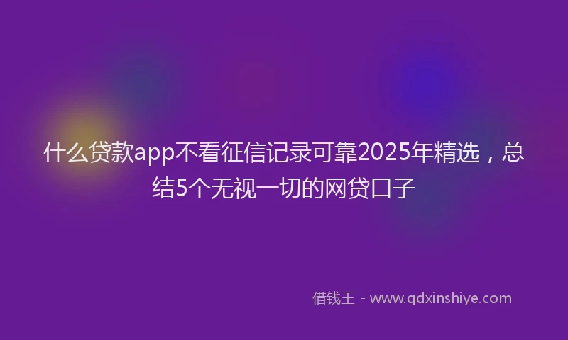 什么贷款app不看征信记录可靠2025年精选，总结5个无视一切的网贷口子