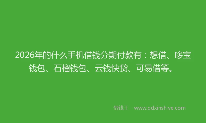 2026年的什么手机借钱分期付款有：想借、哆宝钱包、石榴钱包、云钱快贷、可易借等。