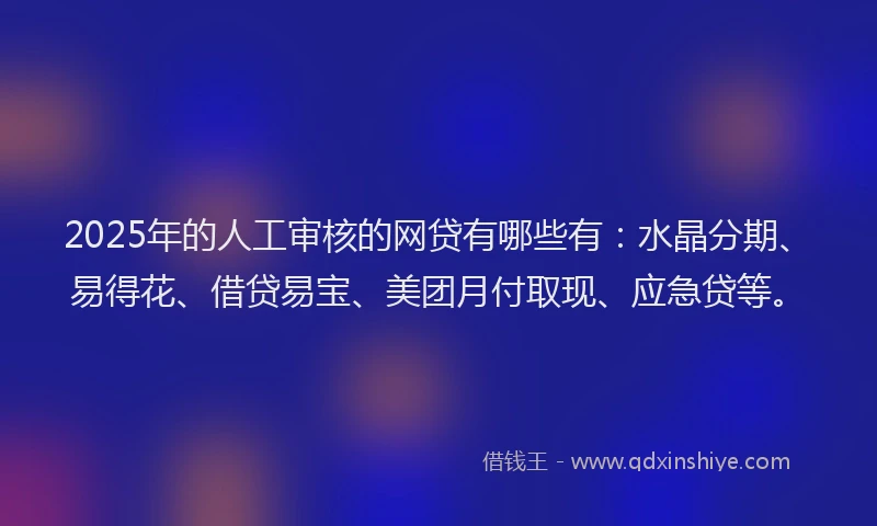 2025年的人工审核的网贷有哪些有：水晶分期、易得花、借贷易宝、美团月付取现、应急贷等。
