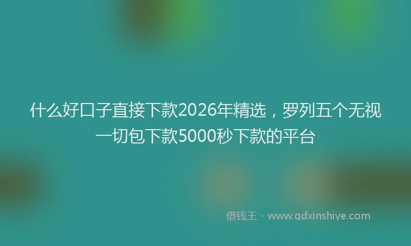 什么好口子直接下款2026年精选，罗列五个无视一切包下款5000秒下款的平台