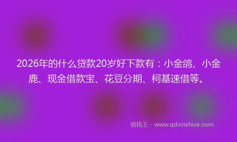 2026年的什么贷款20岁好下款有：小金鸽、小金鹿、现金借款宝、花豆分期、柯基速借等。