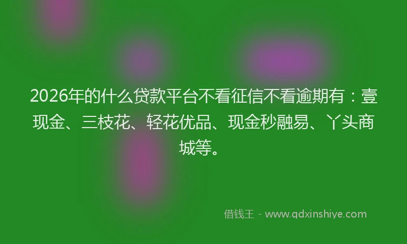 2026年的什么贷款平台不看征信不看逾期有:壹现金、三枝花、轻花优品、现金秒融易、丫头商城等。