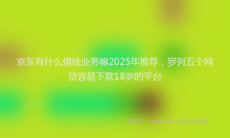 京东有什么借钱业务嘛2025年推荐，罗列五个网贷容易下款18岁的平台