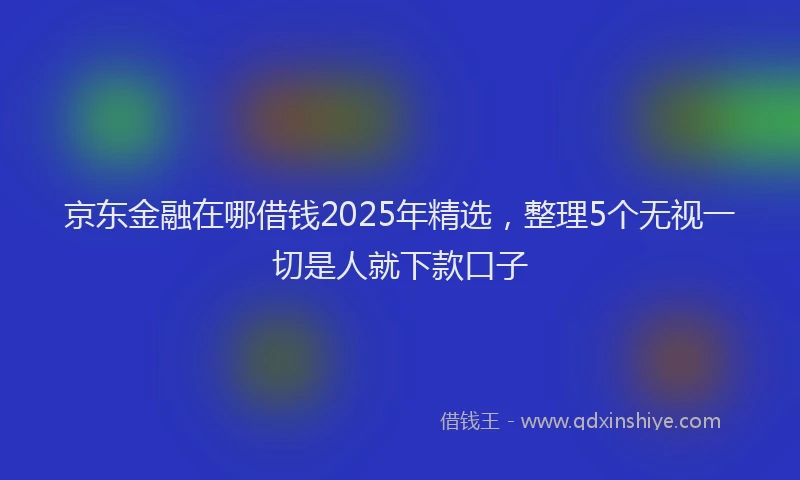 京东金融在哪借钱2025年精选，整理5个无视一切是人就下款口子
