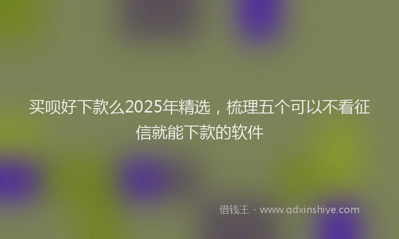 买呗好下款么2025年精选，梳理五个可以不看征信就能下款的软件