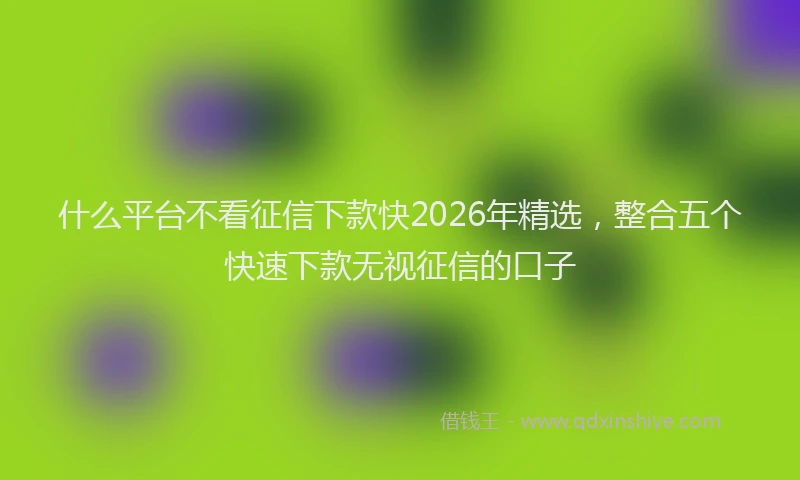 什么平台不看征信下款快2026年精选,整合五个快速下款无视征信的口子